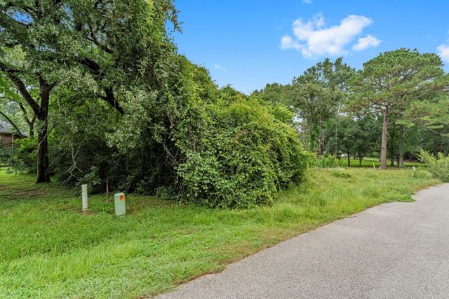 20719 New Kentucky Village Road, Hockley, TX 77447