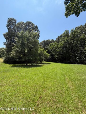 7695 Hummingbird Drive, Olive Branch, MS 38654
