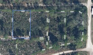419 Parrot Avenue, Sebring, FL 33870