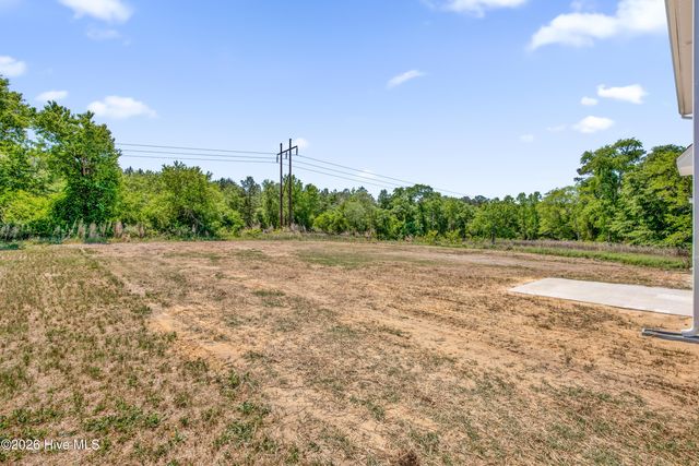 285 Buggy Top Lane, Autryville, NC 28318