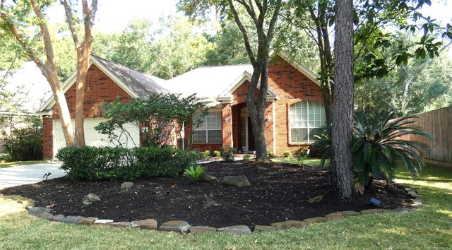 123 N Acacia Park Circle, The Woodlands, TX 77382