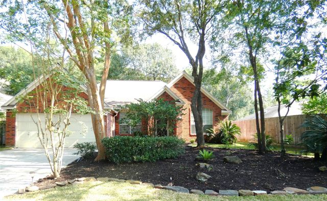 123 N Acacia Park Circle, The Woodlands, TX 77382