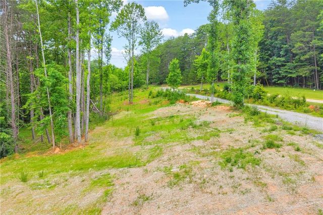 0 Gene Nix Road, Cleveland, GA 30528