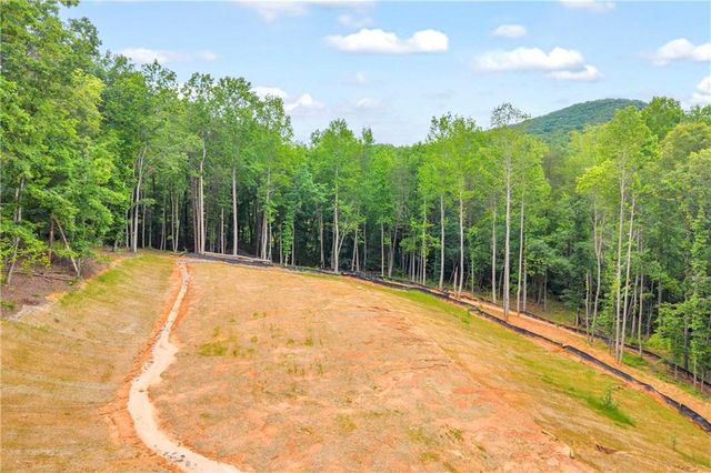 0 Gene Nix Road, Cleveland, GA 30528