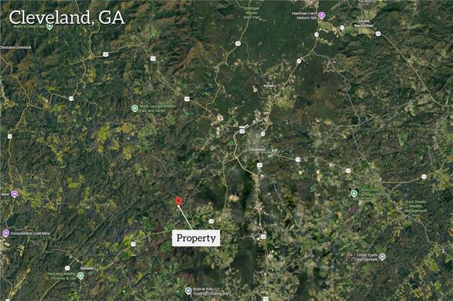0 Gene Nix Road, Cleveland, GA 30528