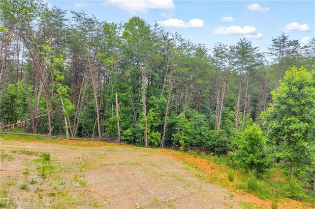 0 Gene Nix Road, Cleveland, GA 30528