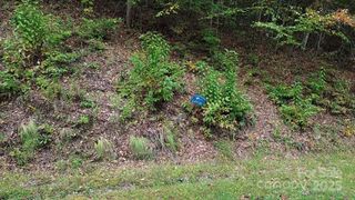 31 Waterdance Drive, Cullowhee, NC 28723