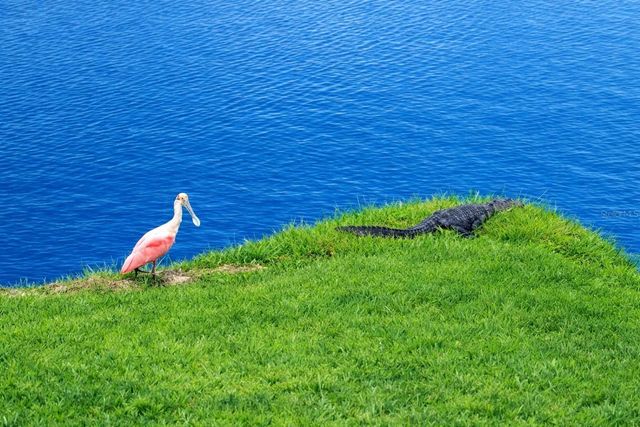 6363 99TH WAY N 12I, St Petersburg, FL 33708