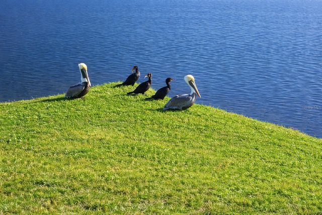 6363 99TH WAY N 12I, St Petersburg, FL 33708