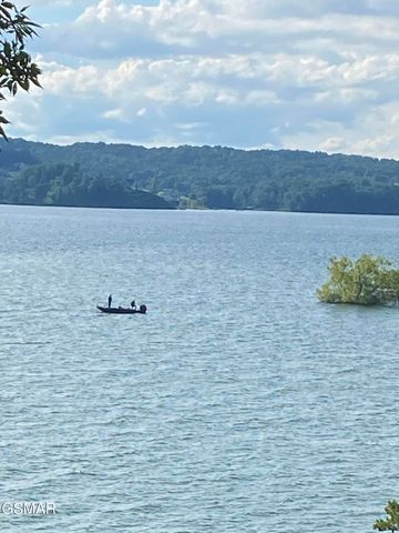 1594 Kinder Lane, Dandridge, TN 37725