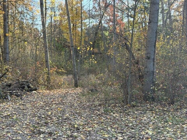 9807 N Maple Hill Road, Reynolds Twp, MI 49329