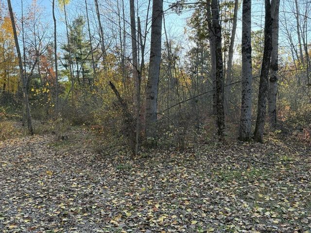 9807 N Maple Hill Road, Reynolds Twp, MI 49329