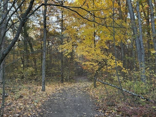 9807 N Maple Hill Road, Reynolds Twp, MI 49329