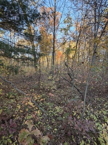 9807 N Maple Hill Road, Reynolds Twp, MI 49329