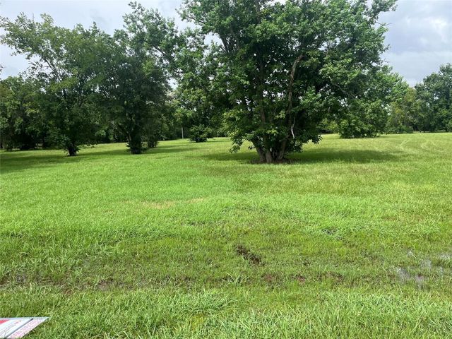 6703 Rustling Oaks Drive, Rosenberg, TX 77469