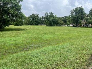6703 Rustling Oaks Drive, Rosenberg, TX 77469