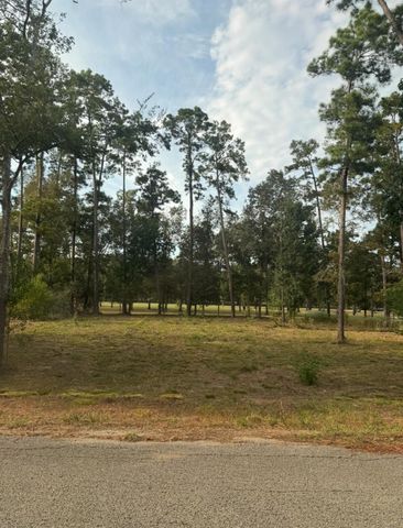 0 Echo Lane, Huffman, TX 77336