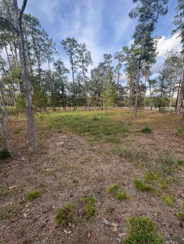 0 Echo Lane, Huffman, TX 77336