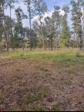 0 Echo Lane, Huffman, TX 77336