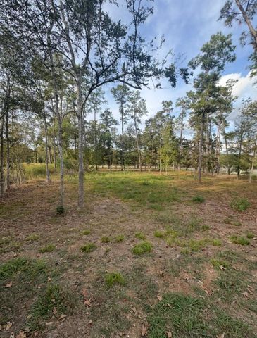 0 Echo Lane, Huffman, TX 77336