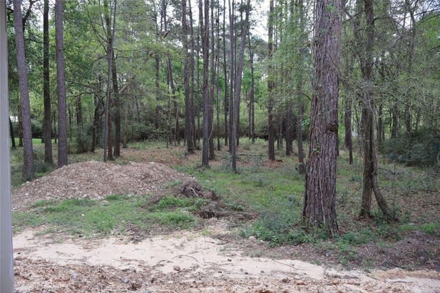 303 Pelican Street, Magnolia, TX 77355