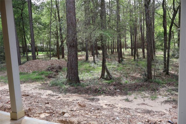 303 Pelican Street, Magnolia, TX 77355