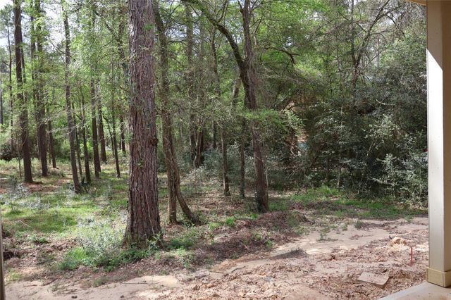 303 Pelican Street, Magnolia, TX 77355