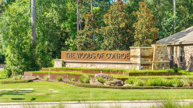 4041 Timber Sapp Drive, Conroe, TX 77304