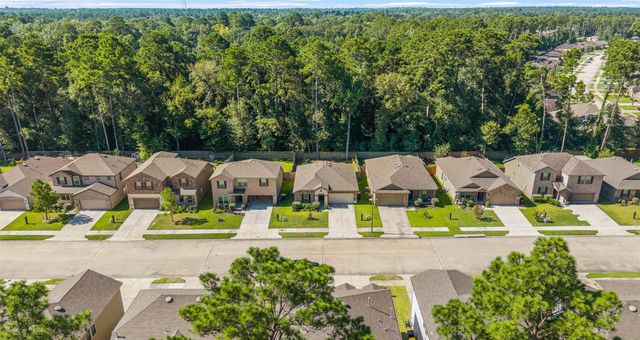 4041 Timber Sapp Drive, Conroe, TX 77304