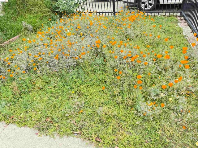 1267 101St Ave, Oakland, CA 94603