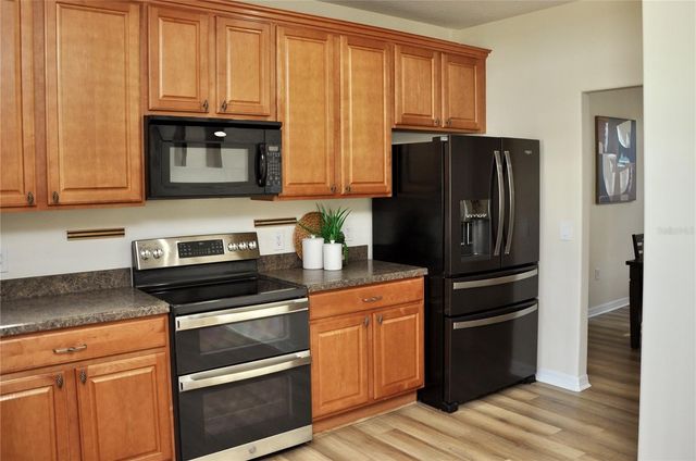 25012 CHIPSHOT COURT, Sorrento, FL 32776