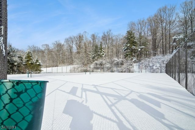 19 Birchwood Road 19, Bedminster Twp., NJ 07921