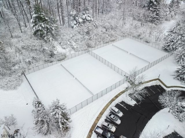 19 Birchwood Road 19, Bedminster Twp., NJ 07921