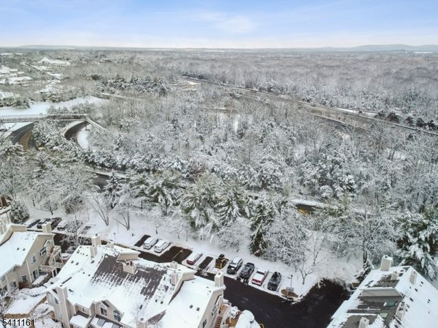 19 Birchwood Road 19, Bedminster Twp., NJ 07921