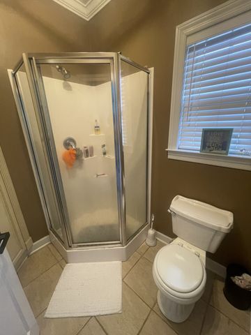 4161 Shady Oak Ln, E, Iron City, TN 38463