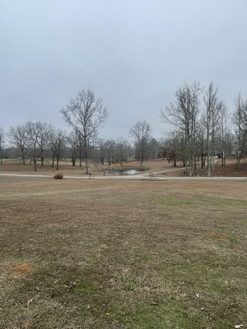 4161 Shady Oak Ln, E, Iron City, TN 38463