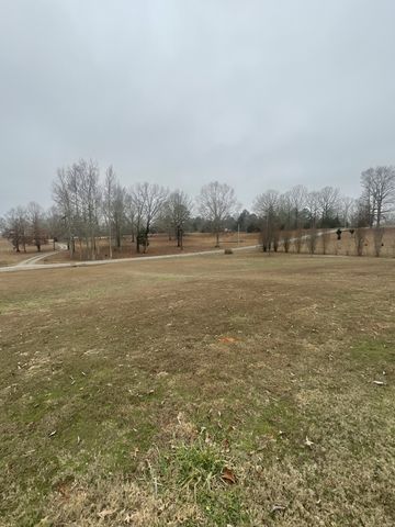 4161 Shady Oak Ln, E, Iron City, TN 38463