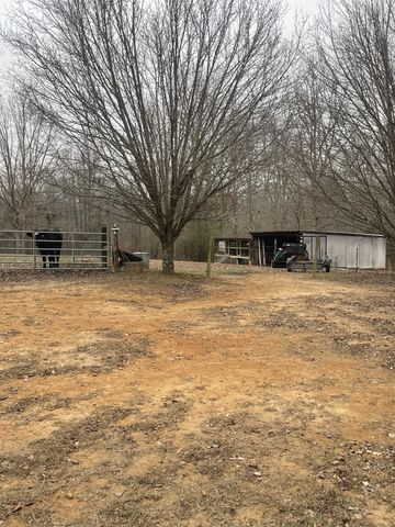 4161 Shady Oak Ln, E, Iron City, TN 38463