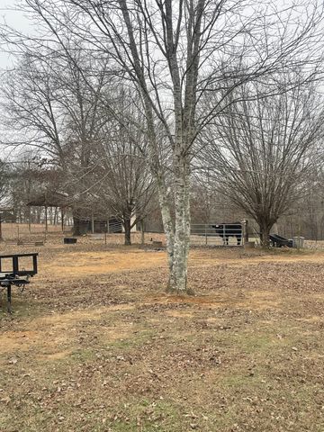 4161 Shady Oak Ln, E, Iron City, TN 38463