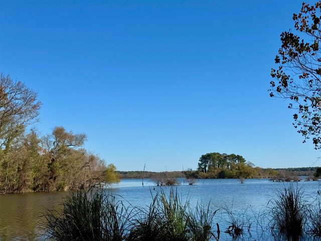 0000 CR 3202, Chandler, TX 75758