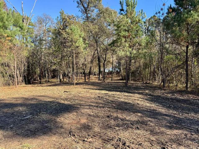 0000 CR 3202, Chandler, TX 75758