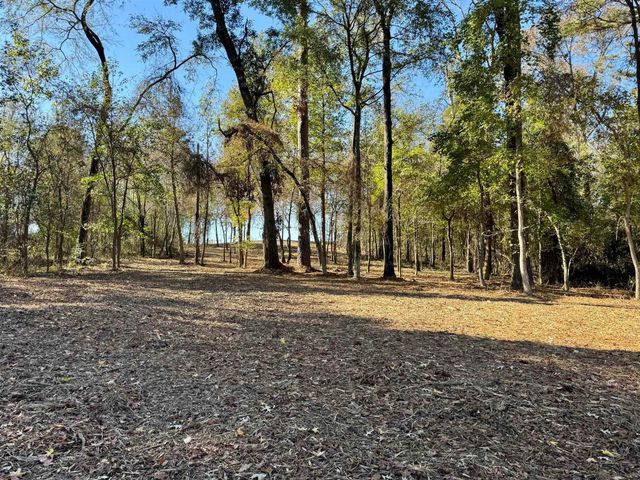 0000 CR 3202, Chandler, TX 75758