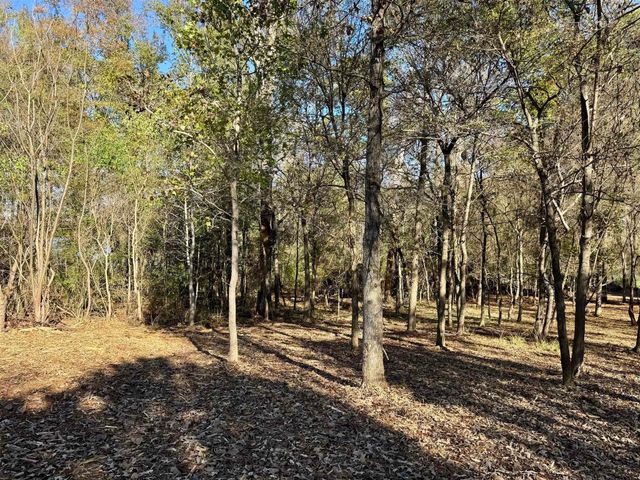 0000 CR 3202, Chandler, TX 75758