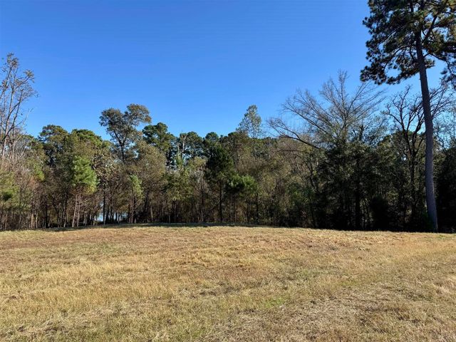 0000 CR 3202, Chandler, TX 75758