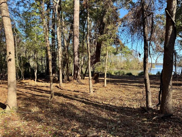 0000 CR 3202, Chandler, TX 75758