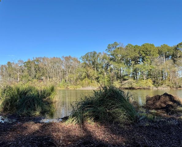 0000 CR 3202, Chandler, TX 75758