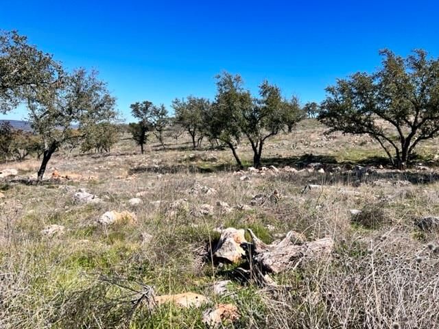 Lot 202 TBD Westridge Way, Big Creek Ranch, Kingsland, TX 78639