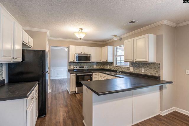 204 Stoney Pointe Drive, Chapin, SC 29036
