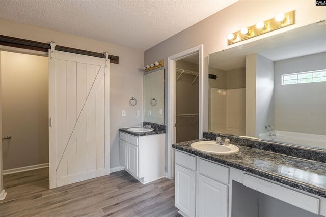 204 Stoney Pointe Drive, Chapin, SC 29036