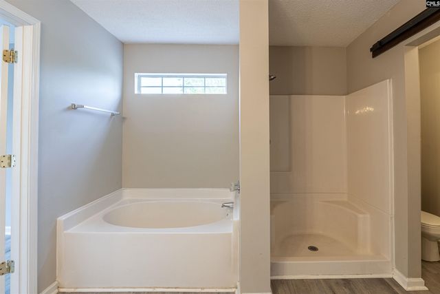204 Stoney Pointe Drive, Chapin, SC 29036